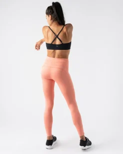 rabbit Tights><noscript><img width=