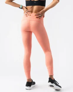 rabbit Tights><noscript><img width=